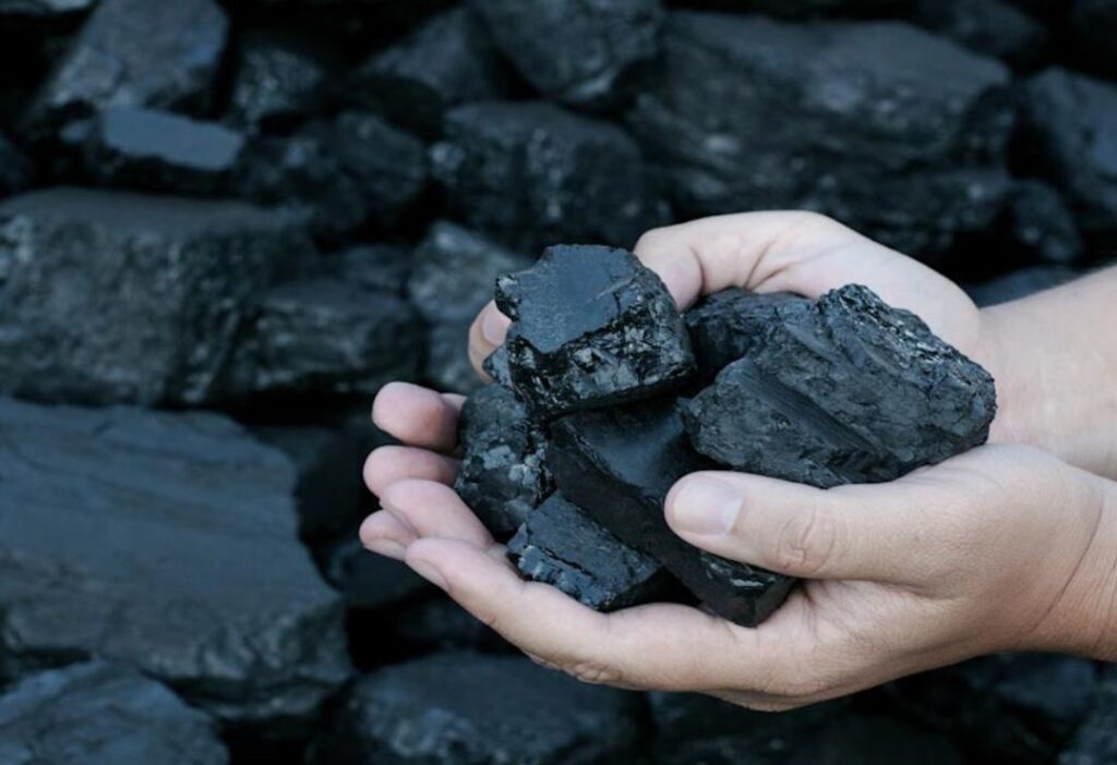 HighQuailityCoalTrading_carbocom