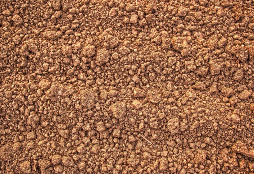 royal_laterite_carbocom